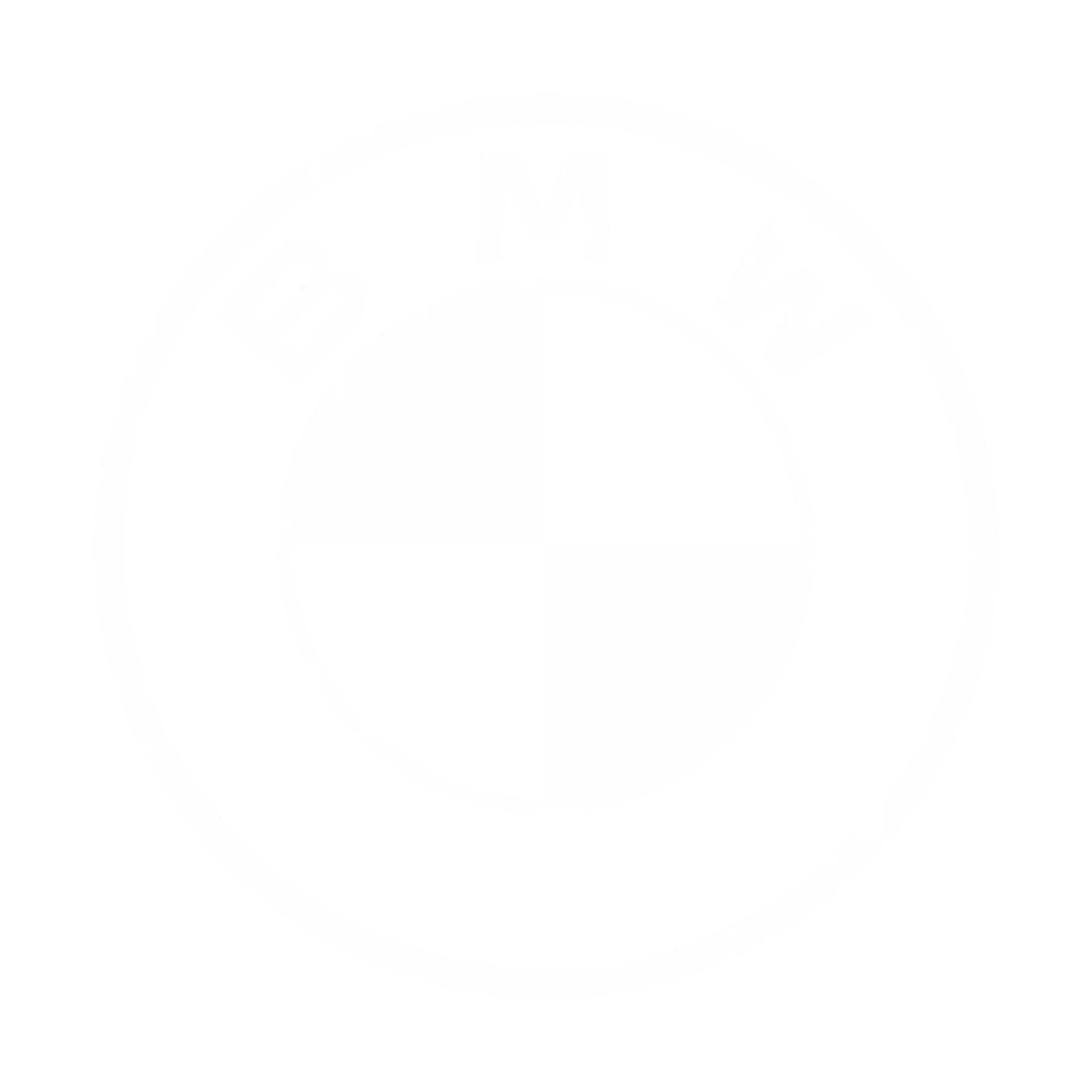 BMW Logo white