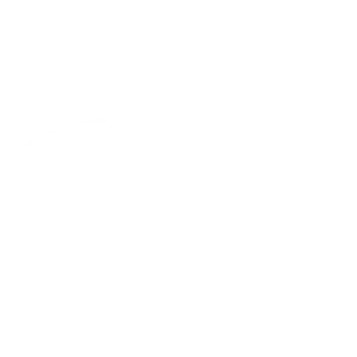 Ford Logo white
